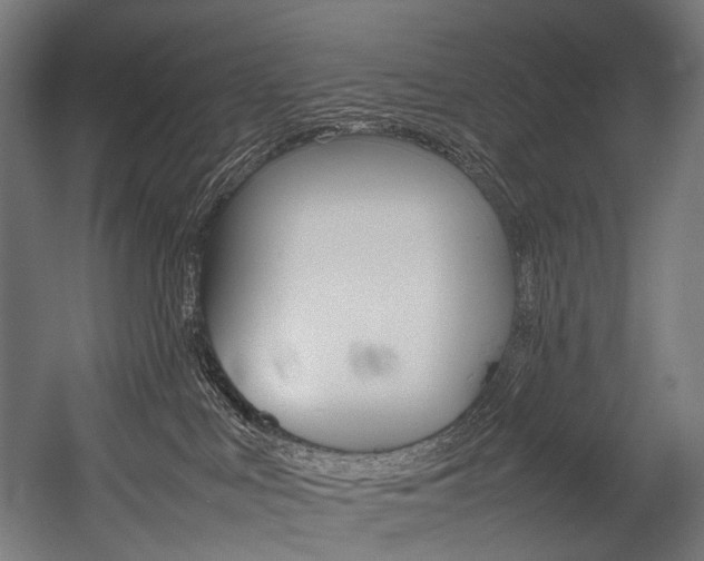 X0000054430043200507291003