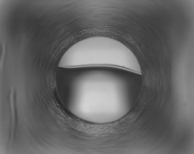 X0000054430044200507291003