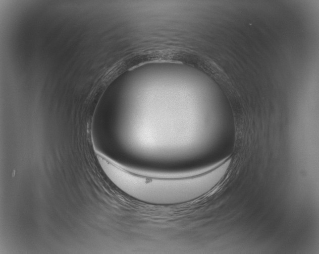 X0000054430045200507291003