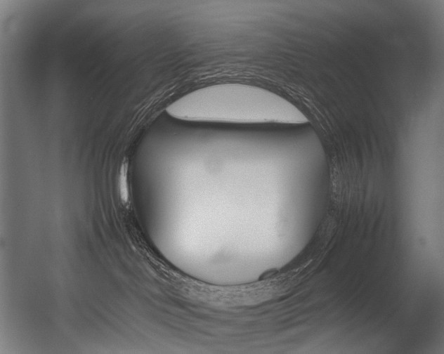 X0000054430046200507291003