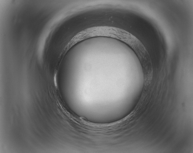 X0000054430047200507291003