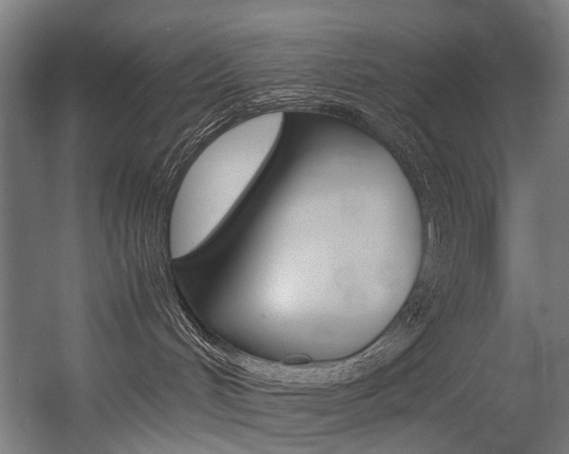 X0000054430048200507291003