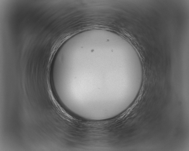 X0000054430049200507291002