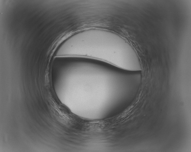 X0000054430050200507291002