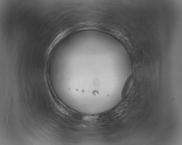 X0000054430051200507291002
