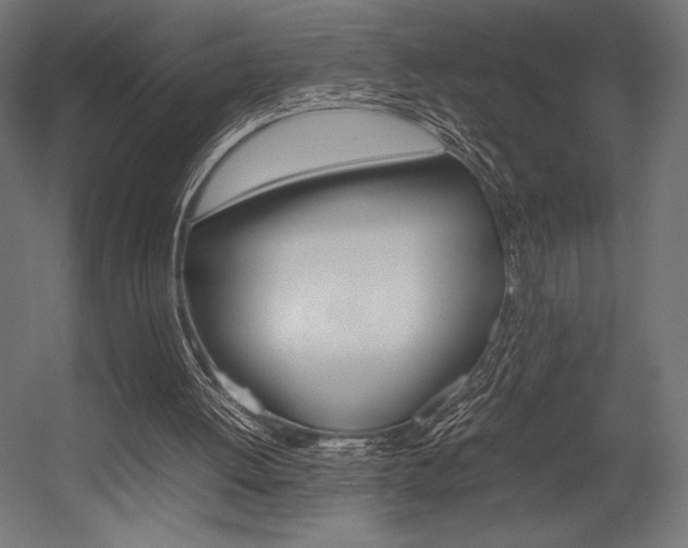 X0000054430052200507291002