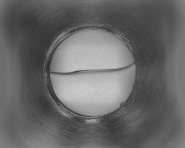 X0000054430053200507291002