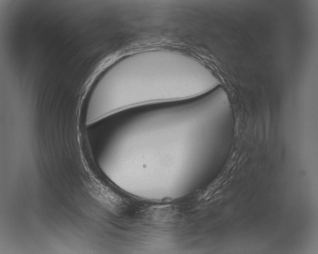 X0000054430054200507291002
