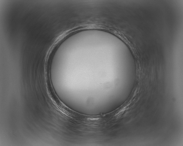 X0000054430055200507291002