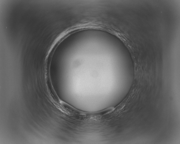 X0000054430056200507291002