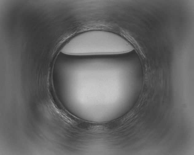 X0000054430058200507291002