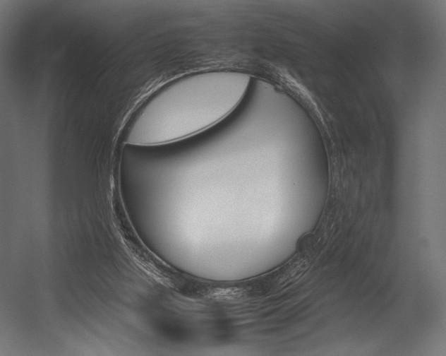 X0000054430059200507291002