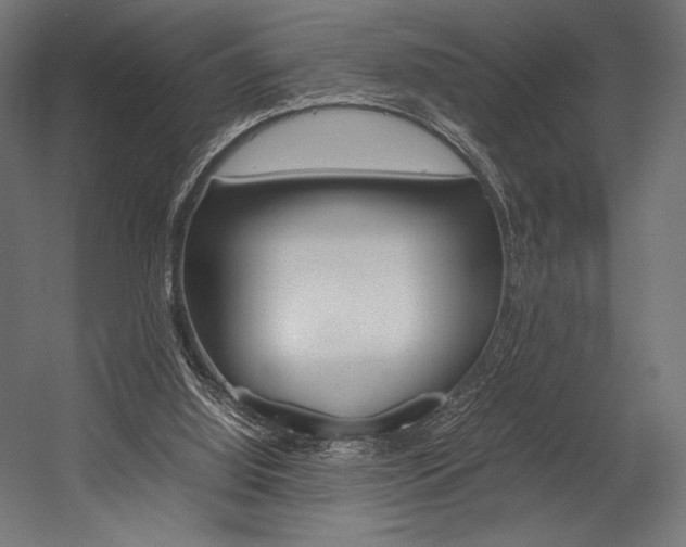 X0000054430060200507291002