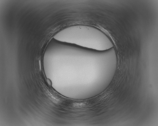 X0000054430061200507291002