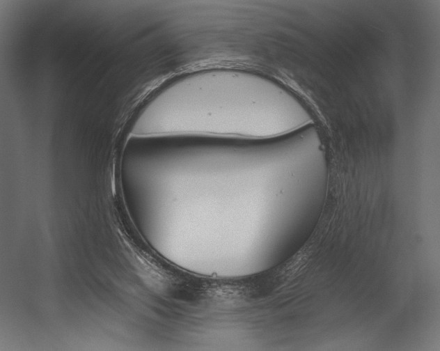 X0000054430062200507291002