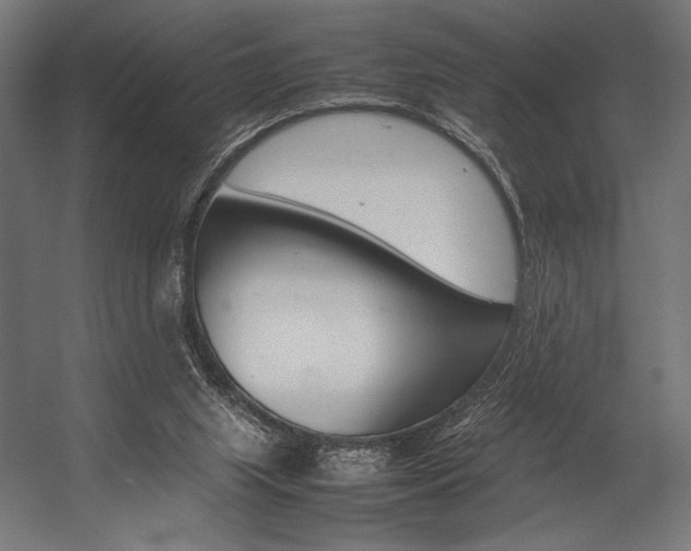X0000054430063200507291003