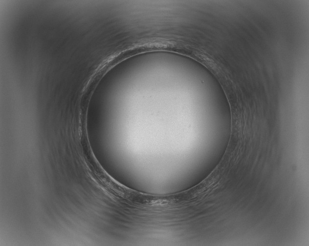 X0000054430064200507291003
