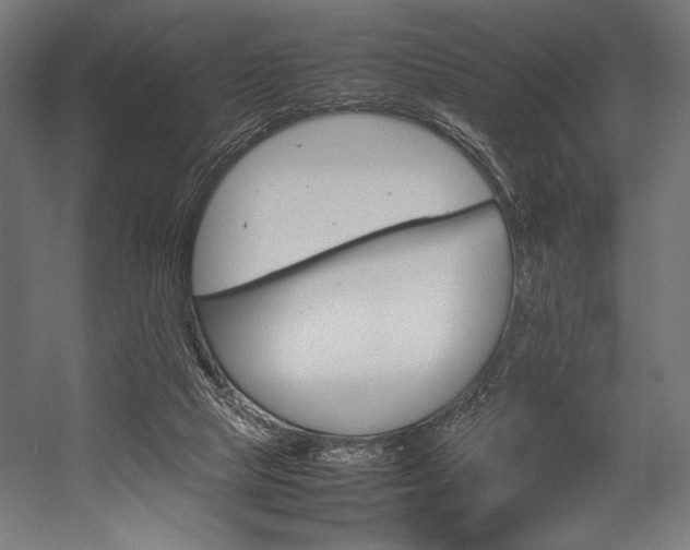 X0000054430065200507291003