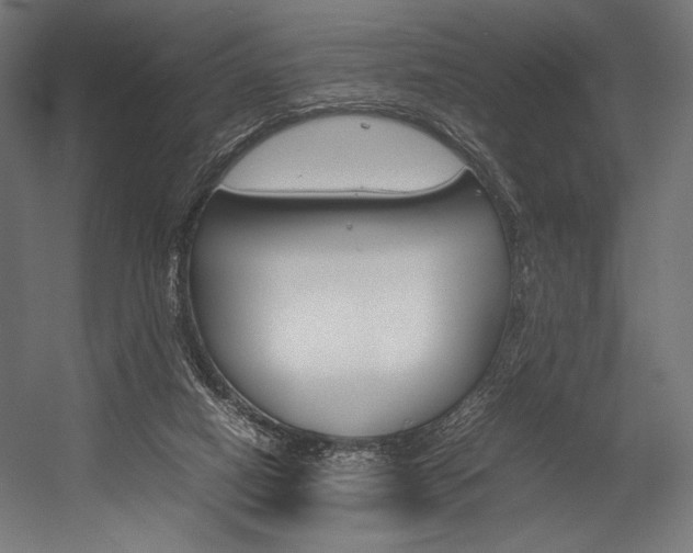 X0000054430066200507291003