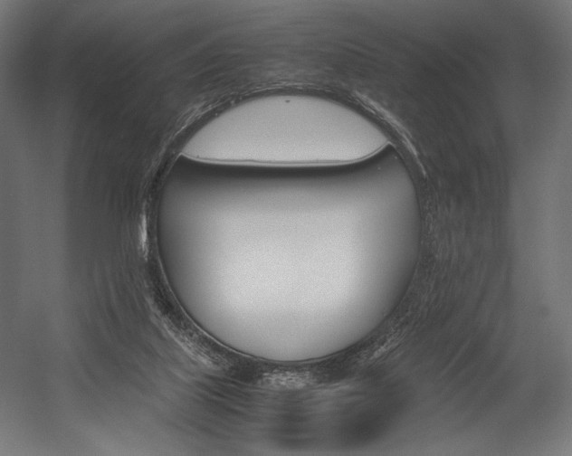 X0000054430067200507291003