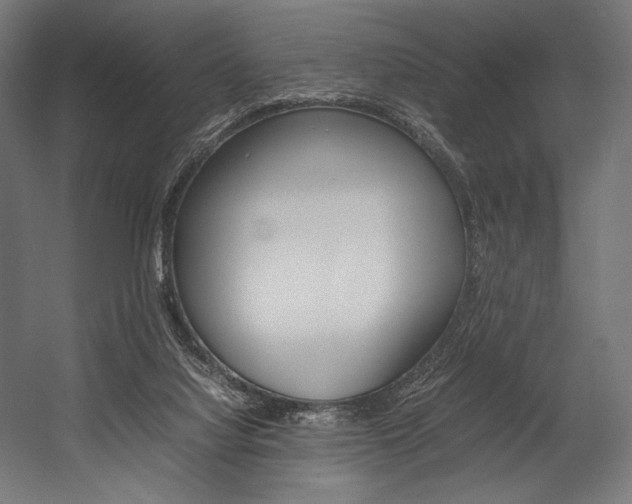 X0000054430068200507291003