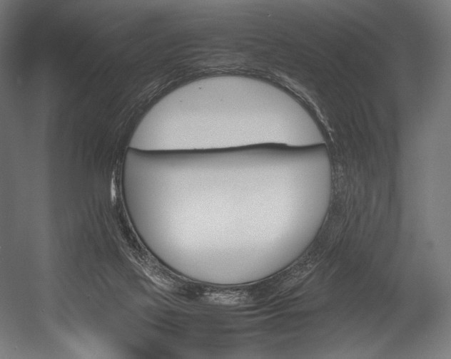 X0000054430069200507291003
