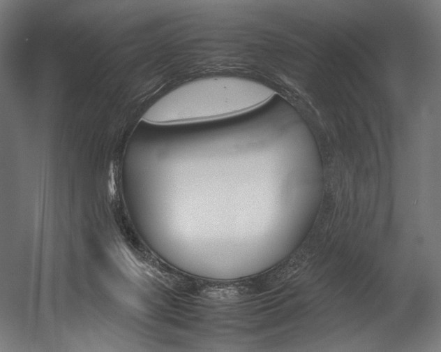 X0000054430075200507291003