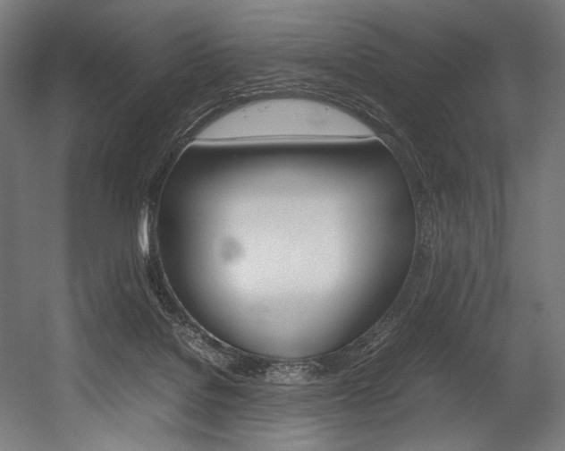 X0000054430076200507291003