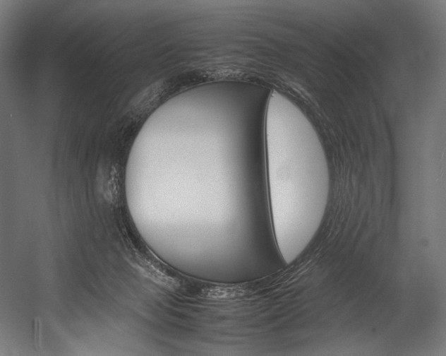 X0000054430077200507291003