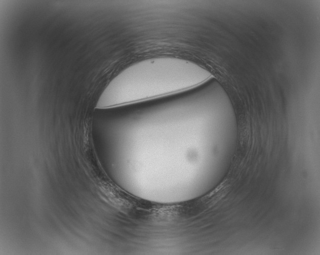 X0000054430078200507291003
