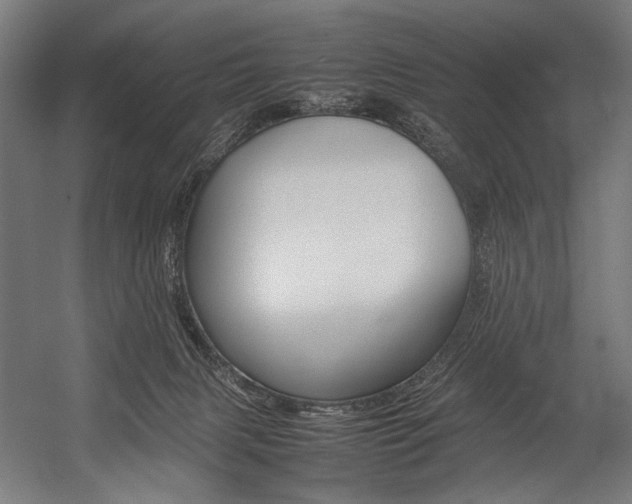 X0000054430079200507291003