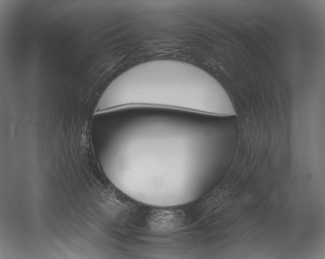 X0000054430083200507291003