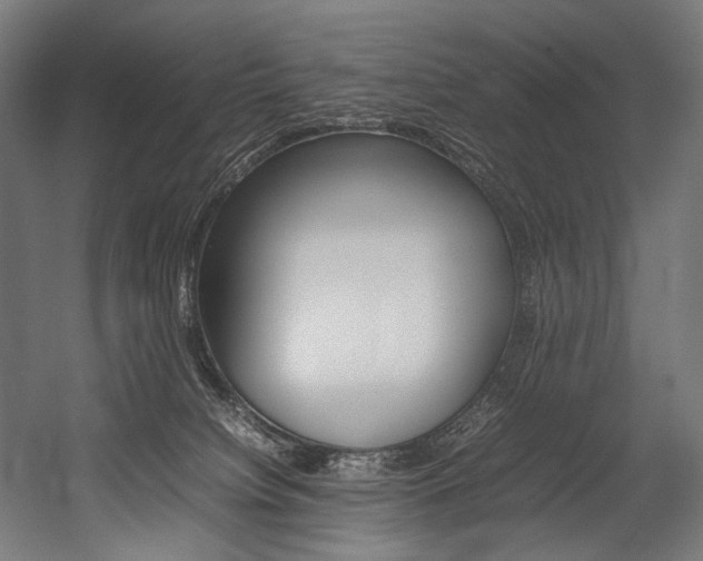 X0000054430084200507291003