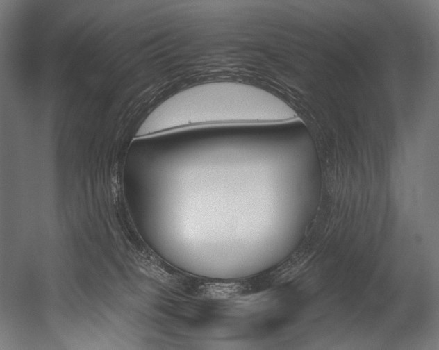 X0000054430085200507291003