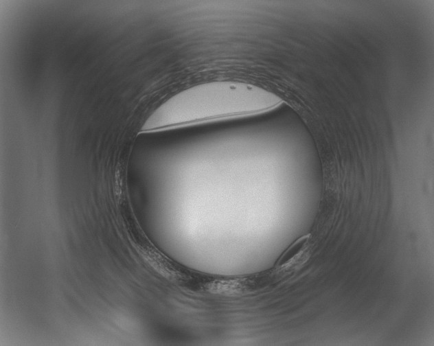 X0000054430086200507291003