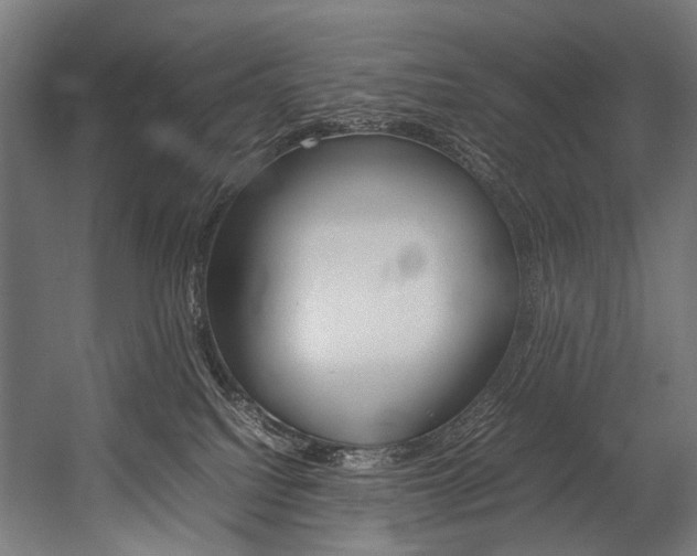 X0000054430088200507291003