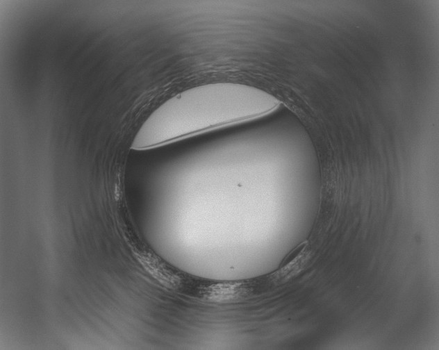 X0000054430090200507291003