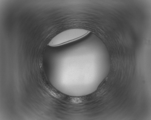 X0000054430091200507291003