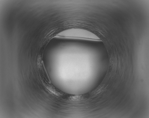X0000054430092200507291003