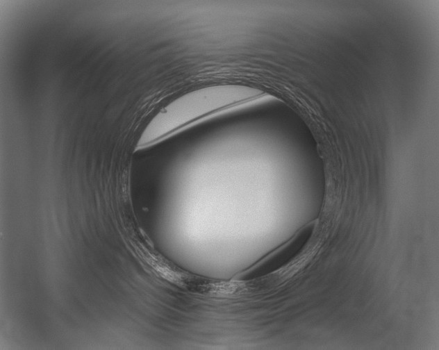 X0000054430096200507291003