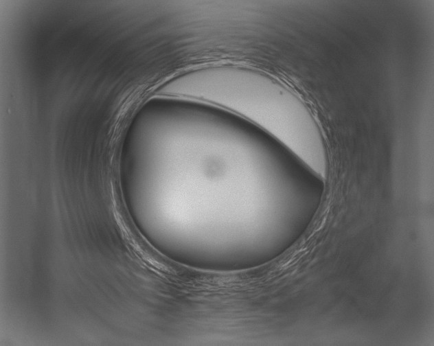 X0000054430097200507291002