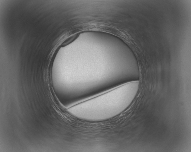 X0000054430099200507291002