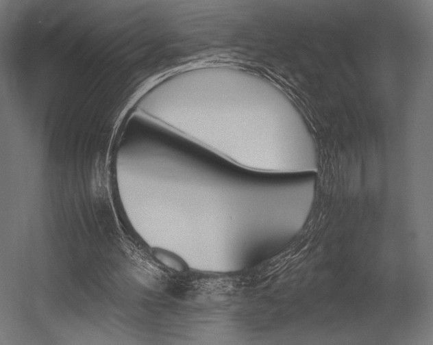X0000054430100200507291002