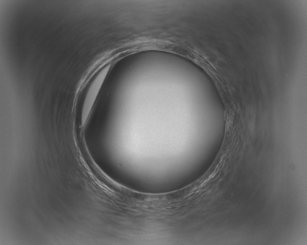 X0000054430101200507291002