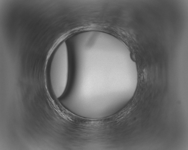 X0000054430102200507291002