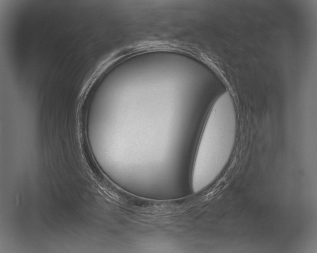 X0000054430103200507291002