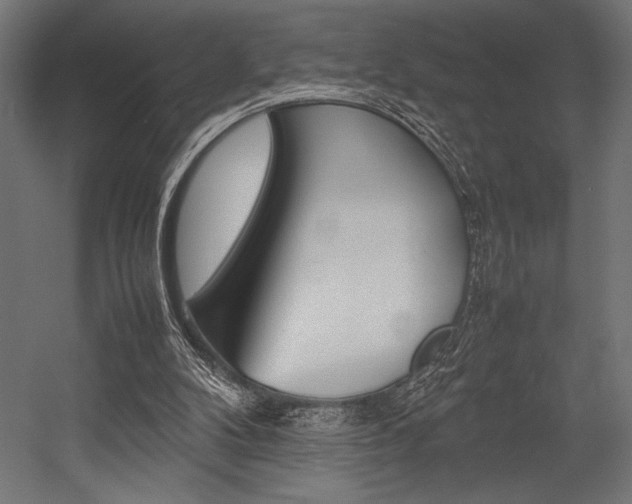 X0000054430104200507291002