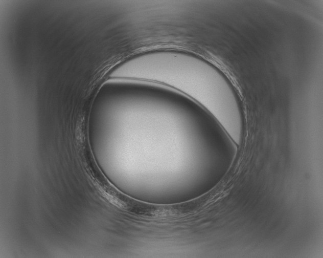 X0000054430105200507291002