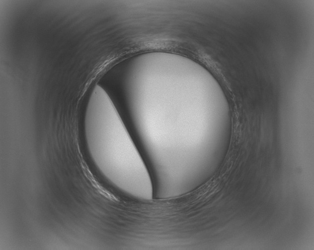X0000054430106200507291002