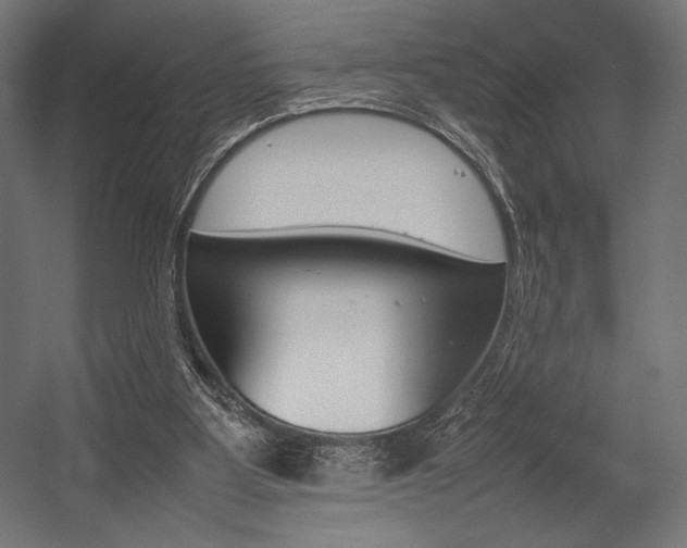 X0000054430107200507291002
